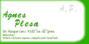 agnes plesa business card